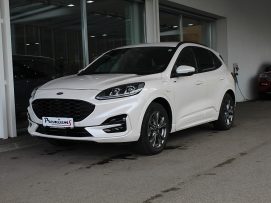 Ford Kuga 2,5 Duratec PHEV ST-Line X Aut. bei BM || Ford Danner LKW in 