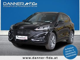 Ford Kuga ST-LINE 225 PS Plug-In Hybrid Automatik (AKTIONSPREIS AB € 36.600,-*) bei BM || Ford Danner LKW in 